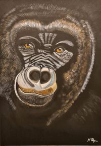 Gorilla 50 x 70 cm